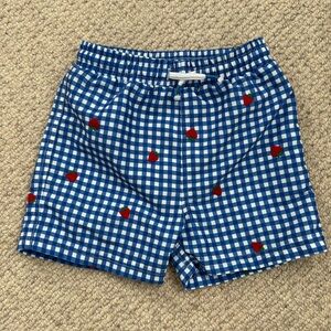 18-24 mo Boden Baby Boy Strawberry Swim Trunks